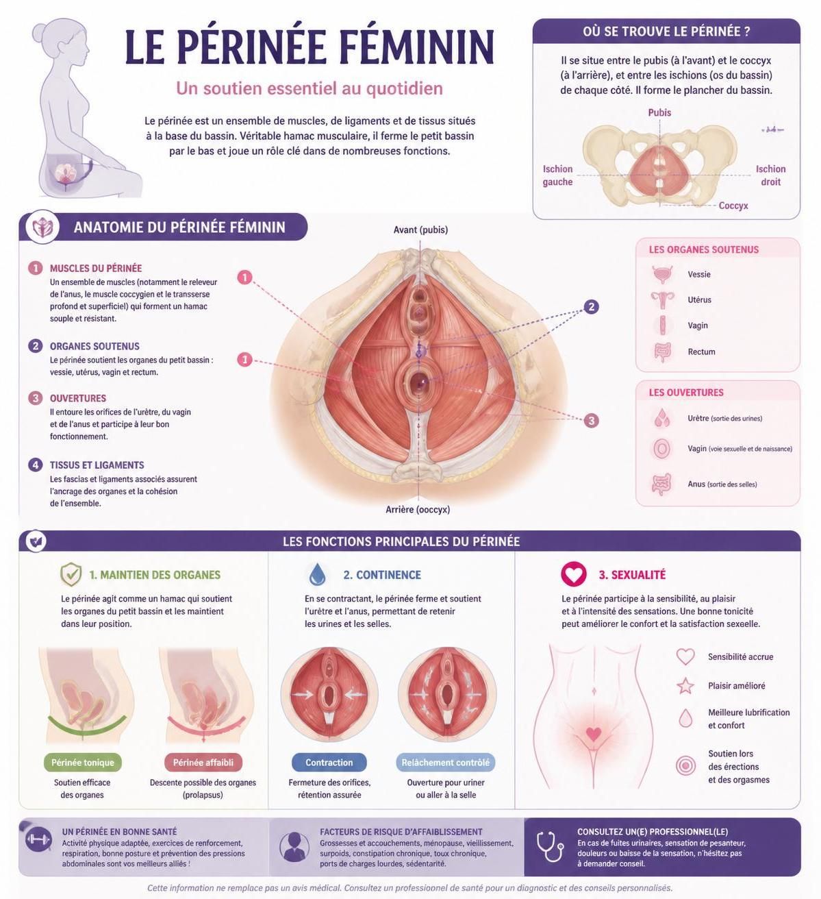 découvrez quand commencer la rééducation du périnée, le nombre de séances recommandées et ce à quoi vous pouvez vous attendre tout au long du processus pour retrouver confort et bien-être.