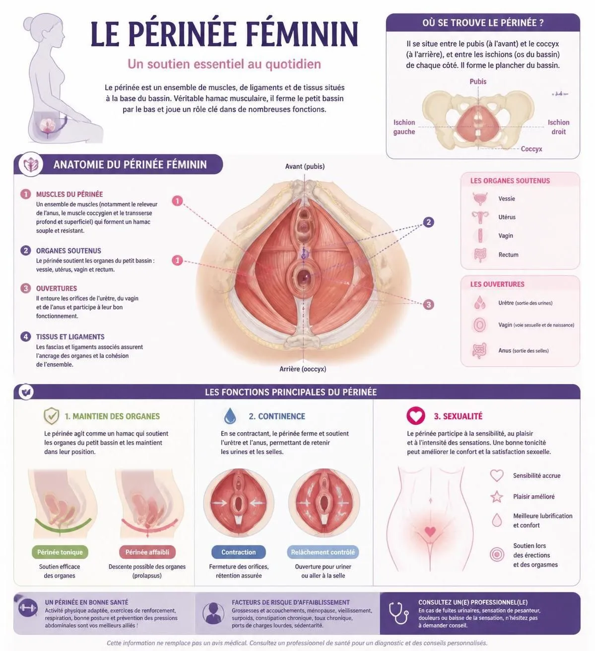 découvrez quand commencer la rééducation du périnée, le nombre de séances recommandées et ce à quoi vous pouvez vous attendre tout au long du processus pour retrouver confort et bien-être.